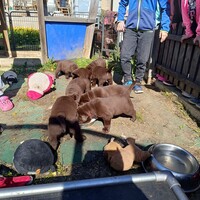 IMG_20250428_095743.jpg