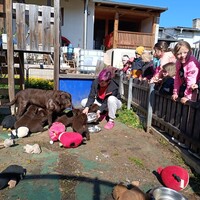 IMG_20250428_100439.jpg