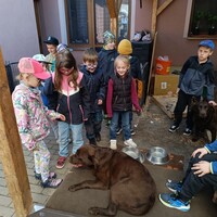 IMG_20250428_103548.jpg