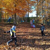 IMG_20241104_110710.jpg