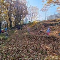 IMG_20241104_111335.jpg