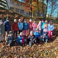 IMG_20241104_113657.jpg
