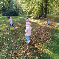 IMG_20241021_105244.jpg