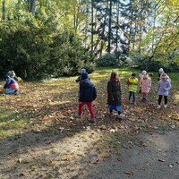 IMG_20241021_105349.jpg