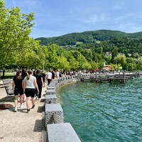 IMG_8016.jpeg