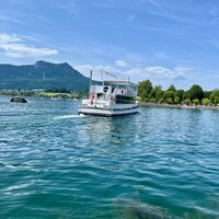 IMG_8018.jpeg
