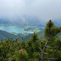 IMG_8115.jpeg
