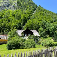 IMG_8178.jpeg
