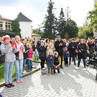 DSC_7637.JPG-1.JPG