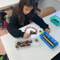 1000037260.jpg