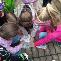 IMG_20250925_125414.jpg