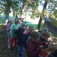 IMG_20251003_130354.jpg