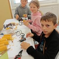IMG_20251003_101710.jpg