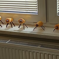 IMG_20251003_115556.jpg