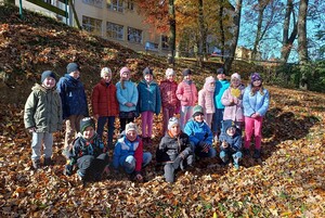 IMG_20241104_113657.jpg