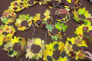 Kutílek WhatsApp_Image_2025-11-15_at_17.21.16.jpeg