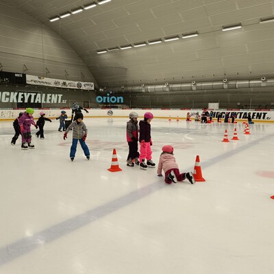 IMG_20241118_094558.jpg