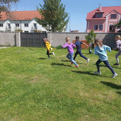 Obrázek - img 20250428 131839