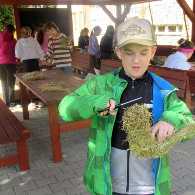 Obrázek - img 0774