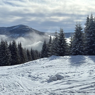 53c49293-10fc-4d15-b8af-237d118c38b4 Obrázek - 53c49293-10fc-4d15-b8af-237d118c38b4