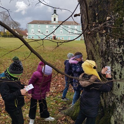 Obrázek - 1762187112901