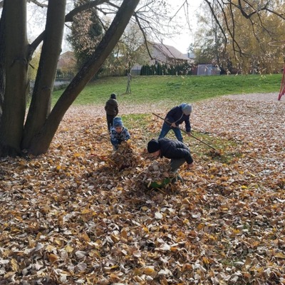 52bc9b68-5477-4644-b7de-c46502efdb74 52bc9b68-5477-4644-b7de-c46502efdb74.jpeg