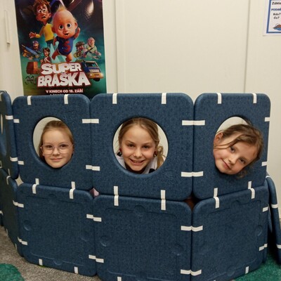 Obrázek - img 20260129 132212