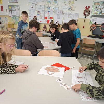 5441f43d-4d5b-47a8-8ac9-ccb4afa5db47 5441f43d-4d5b-47a8-8ac9-ccb4afa5db47.jpg