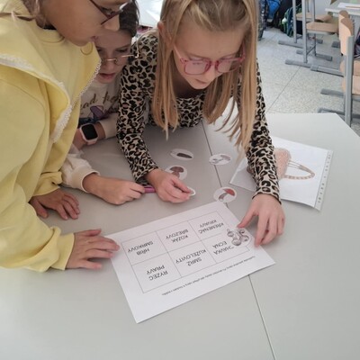 a0307dcc-323e-4ed2-a644-c97fb7f95e71 a0307dcc-323e-4ed2-a644-c97fb7f95e71.jpg