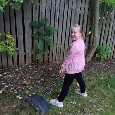 rijen2 Obrázek - rijen2