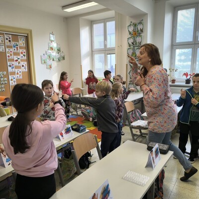 fb2180fd-fc98-4066-8a22-84c4bcef0bb8 Obrázek - fb2180fd-fc98-4066-8a22-84c4bcef0bb8