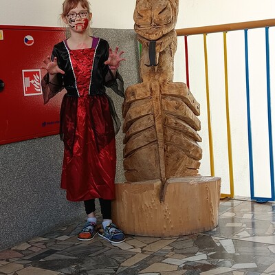 img 20251031 081447 Obrázek - img 20251031 081447