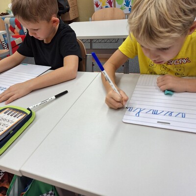 1000037656 Obrázek - 1000037656