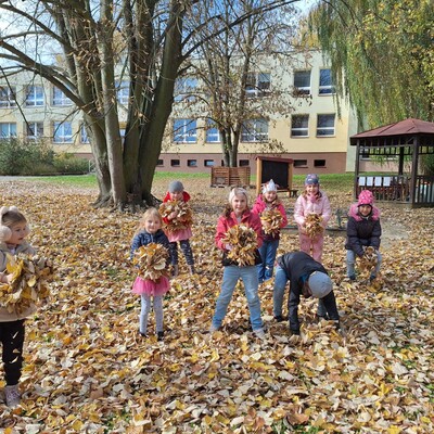 Obrázek - 1000038243