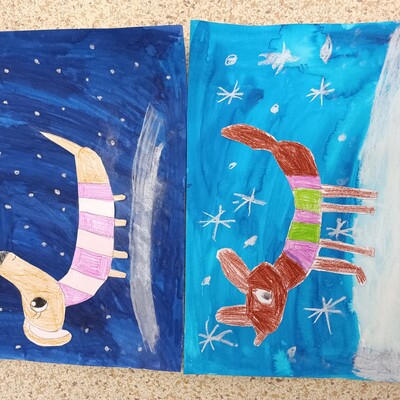 img 20260119 114335 Obrázek - img 20260119 114335