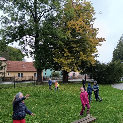 img 20251010 092008 IMG_20251010_092008.jpg