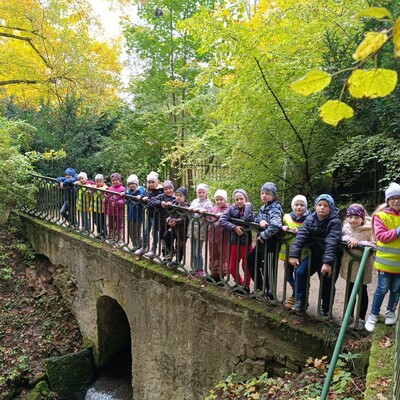 img 20251010 094139 IMG_20251010_094139.jpg