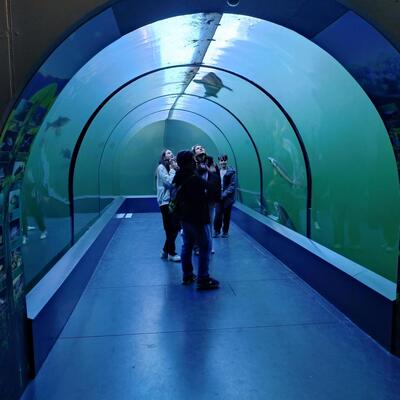 media  1  Obrázek - media  1