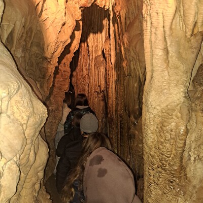 20251105 113703 20251105_113703.jpg