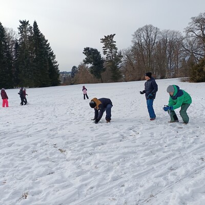Obrázek - img 20260106 120235