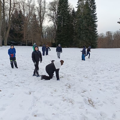 Obrázek - img 20260106 121813