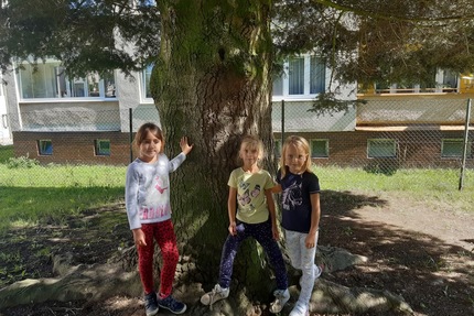 Začátek nového školního roku ve školní družině 20200908_133357.jpg
