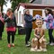 DSC_7632.JPG-1.JPG